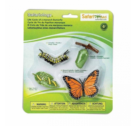 Figuras Coleccionables Ciclo De Vida De La Mariposa Monarca CK_6166622602  Safari Ltd