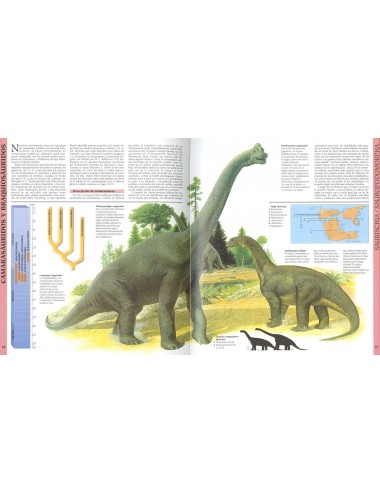 Atlas Ilustrado De Los Dinosaurios SUDIN1  Lexus