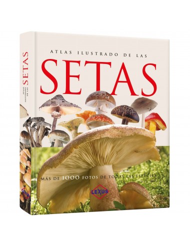 Atlas Ilustrado De Las Setas