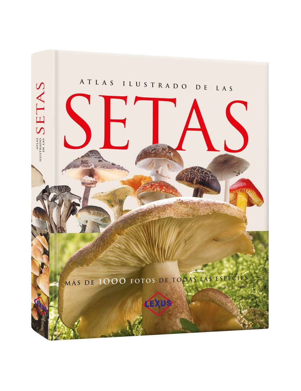 Atlas Ilustrado De Las Setas SUSET2  Lexus