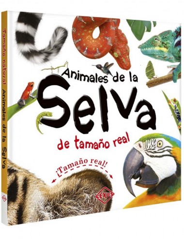 Colección Animales Océano + Insectos tamaño real + Animales Selva CMB2OCNINSLV3647 Lexus Lexus