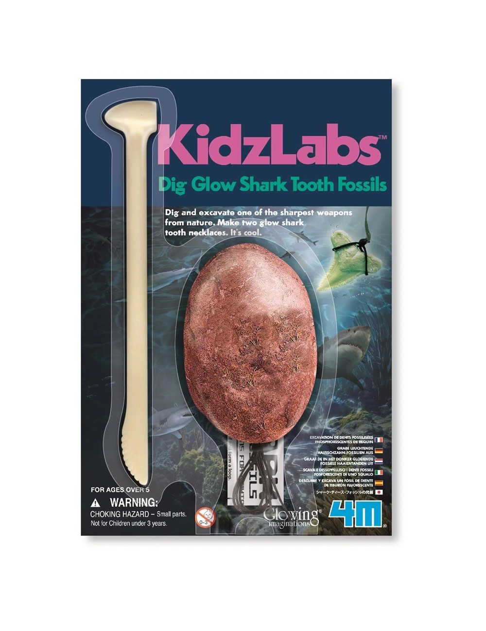 Kit Infantil Fosil de Diente de Tiburon- KidzLabs4m 4893156059185
