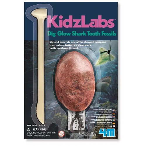 Kit Infantil Fosil de Diente de Tiburon- KidzLabs4m 4893156059185