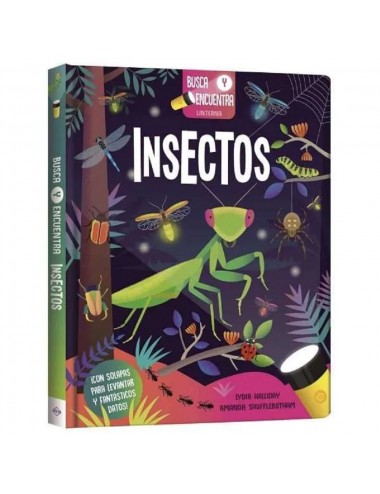 Busca Y Encuentra Con Linterna - Insectos