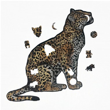 Ocelote - Jaguar...