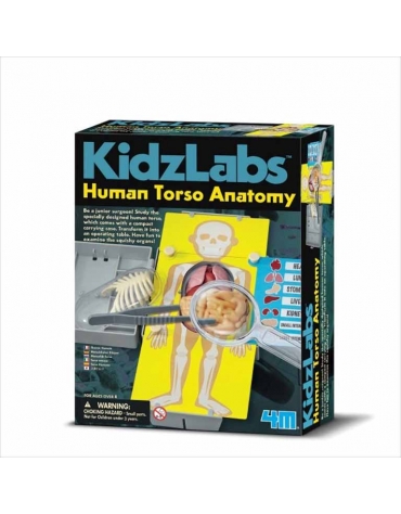 Anatomia Del Torso Humano 00-03373  4M