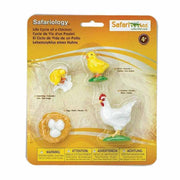 Figuras Coleccionables Ciclo De Vida De La Gallina