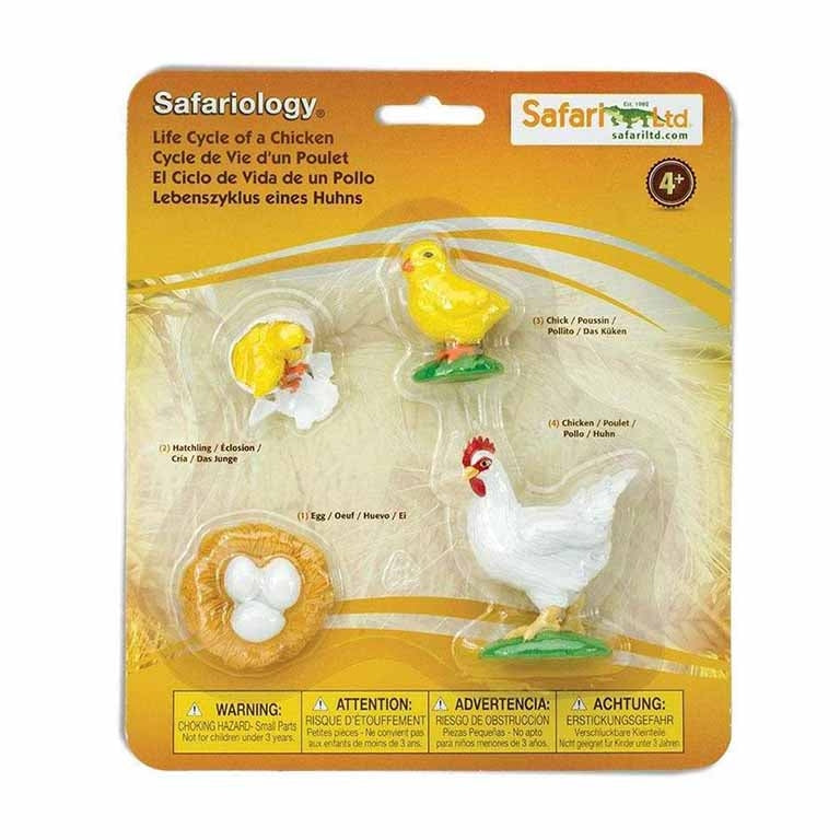 Figuras Coleccionables Ciclo De Vida De La Gallina
