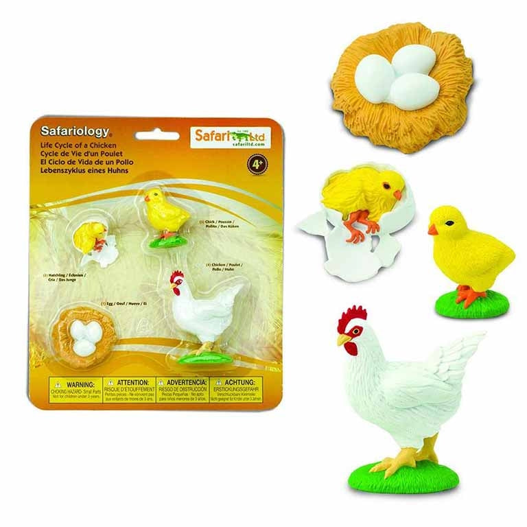 Figuras Coleccionables Ciclo De Vida De La Gallina