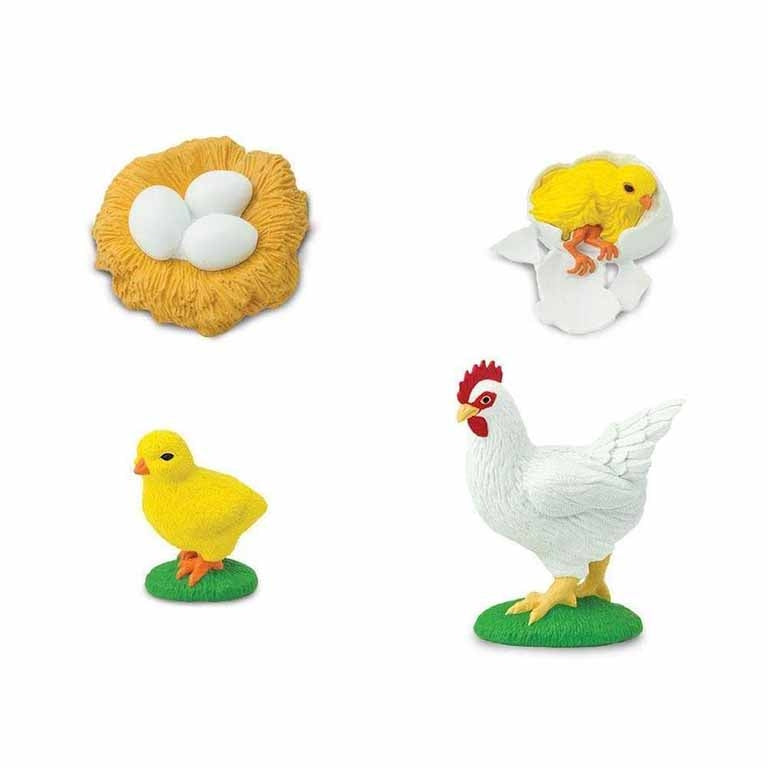 Figuras Coleccionables Ciclo De Vida De La Gallina