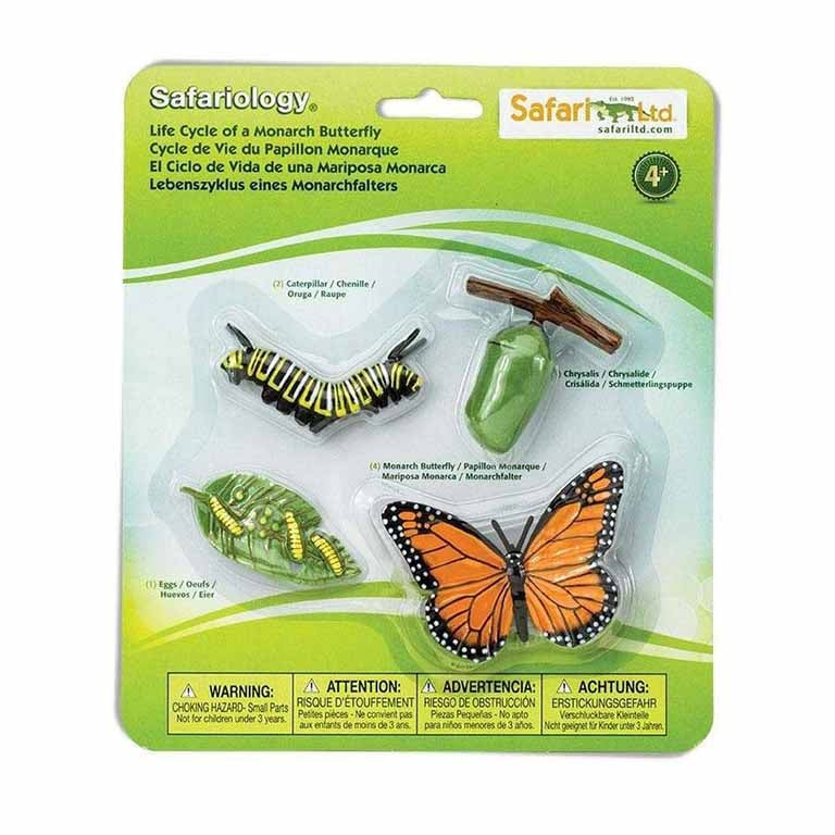 Figuras Coleccionables Ciclo De Vida De La Mariposa Monarca