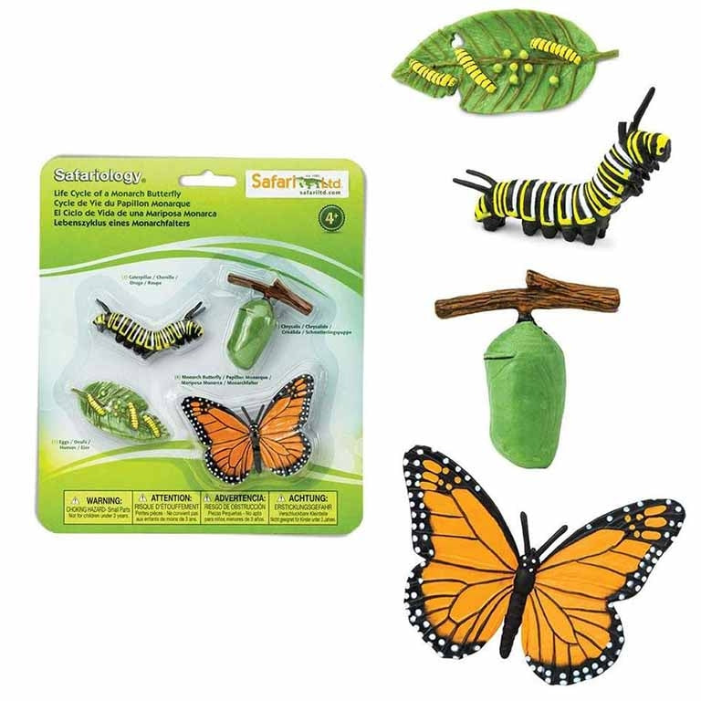 Figuras Coleccionables Ciclo De Vida De La Mariposa Monarca