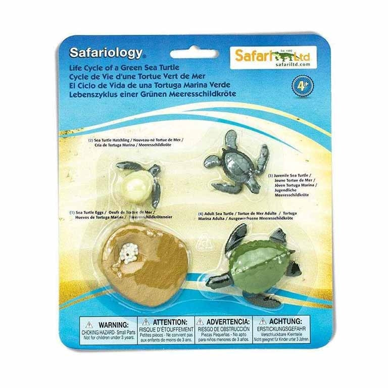 Figuras Coleccionables Ciclo De Vida De La Tortuga Marina