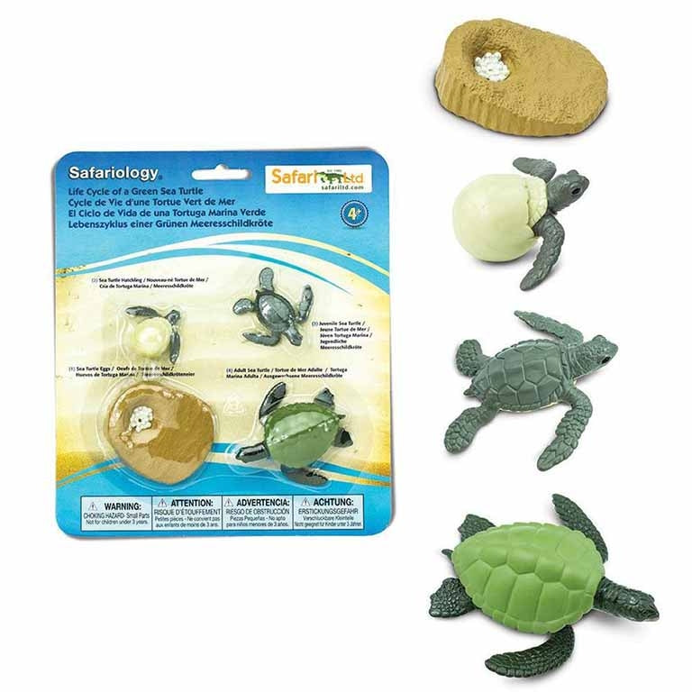 Figuras Coleccionables Ciclo De Vida De La Tortuga Marina