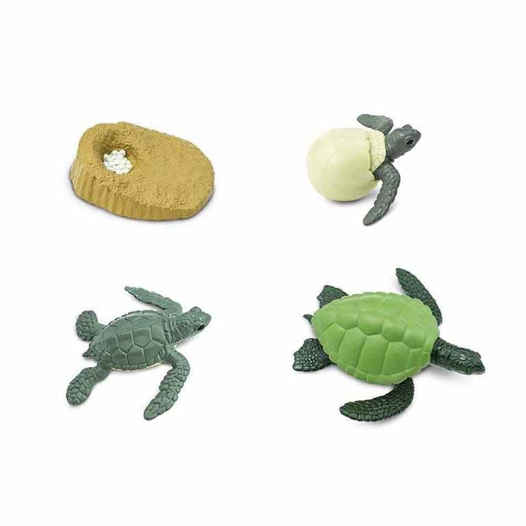 Figuras Coleccionables Ciclo De Vida De La Tortuga Marina