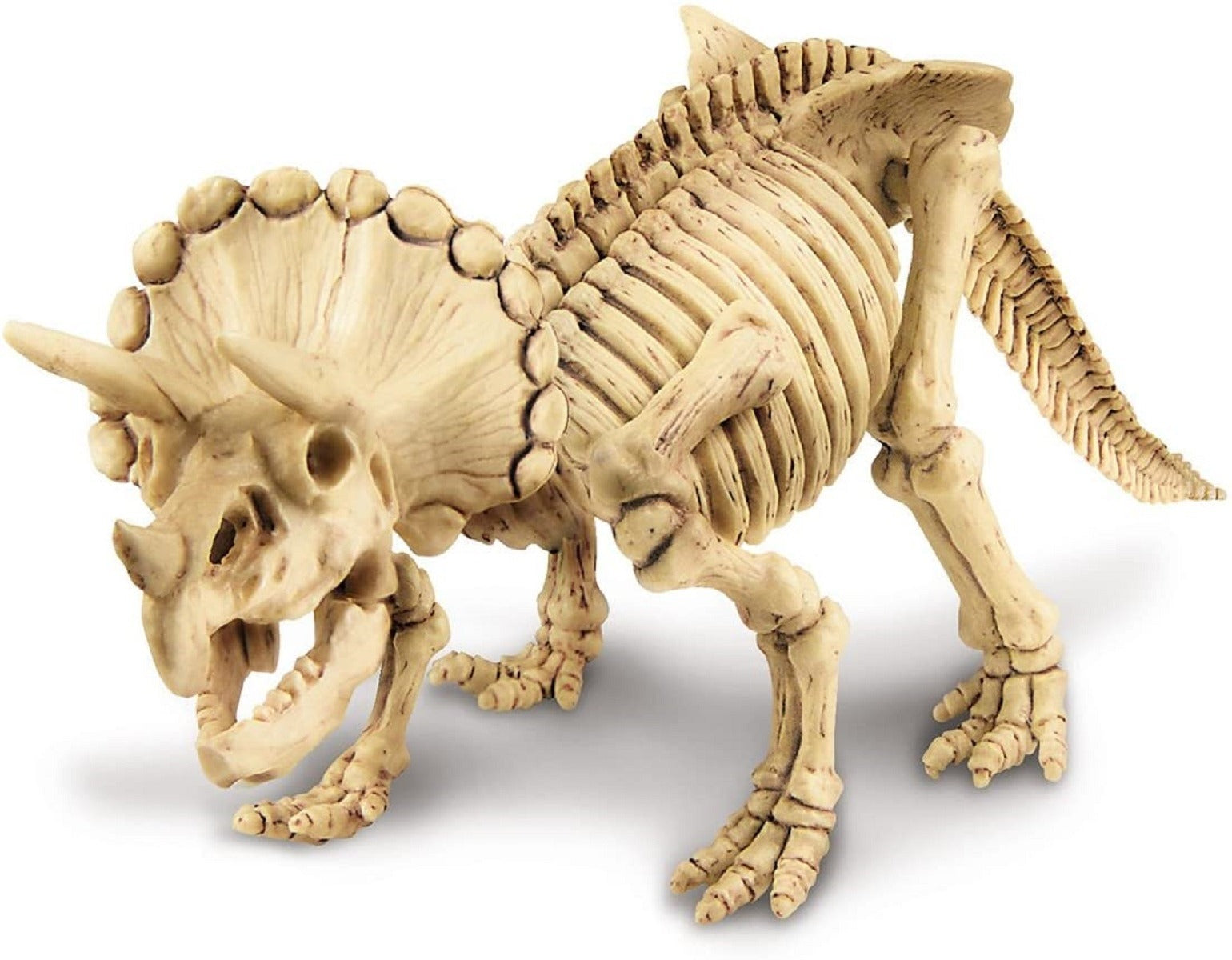 Kidz Labs / Cavar Un Esqueleto De Triceratops