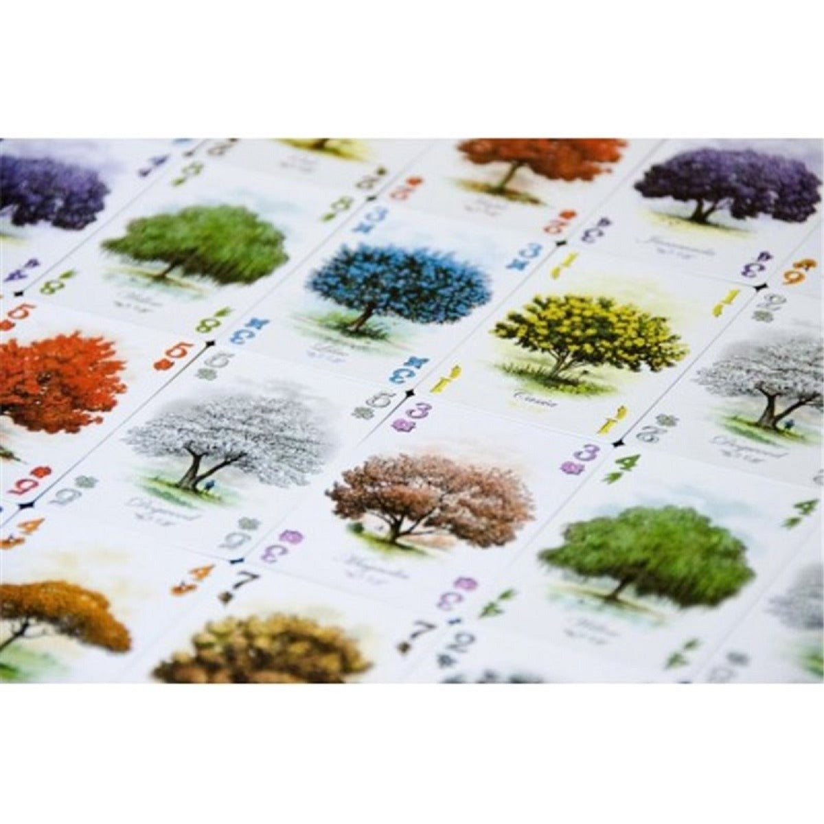 Arboretum