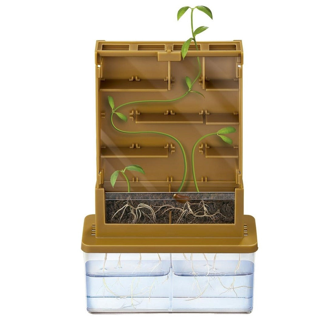 Green Science / Haz Crecer una Planta