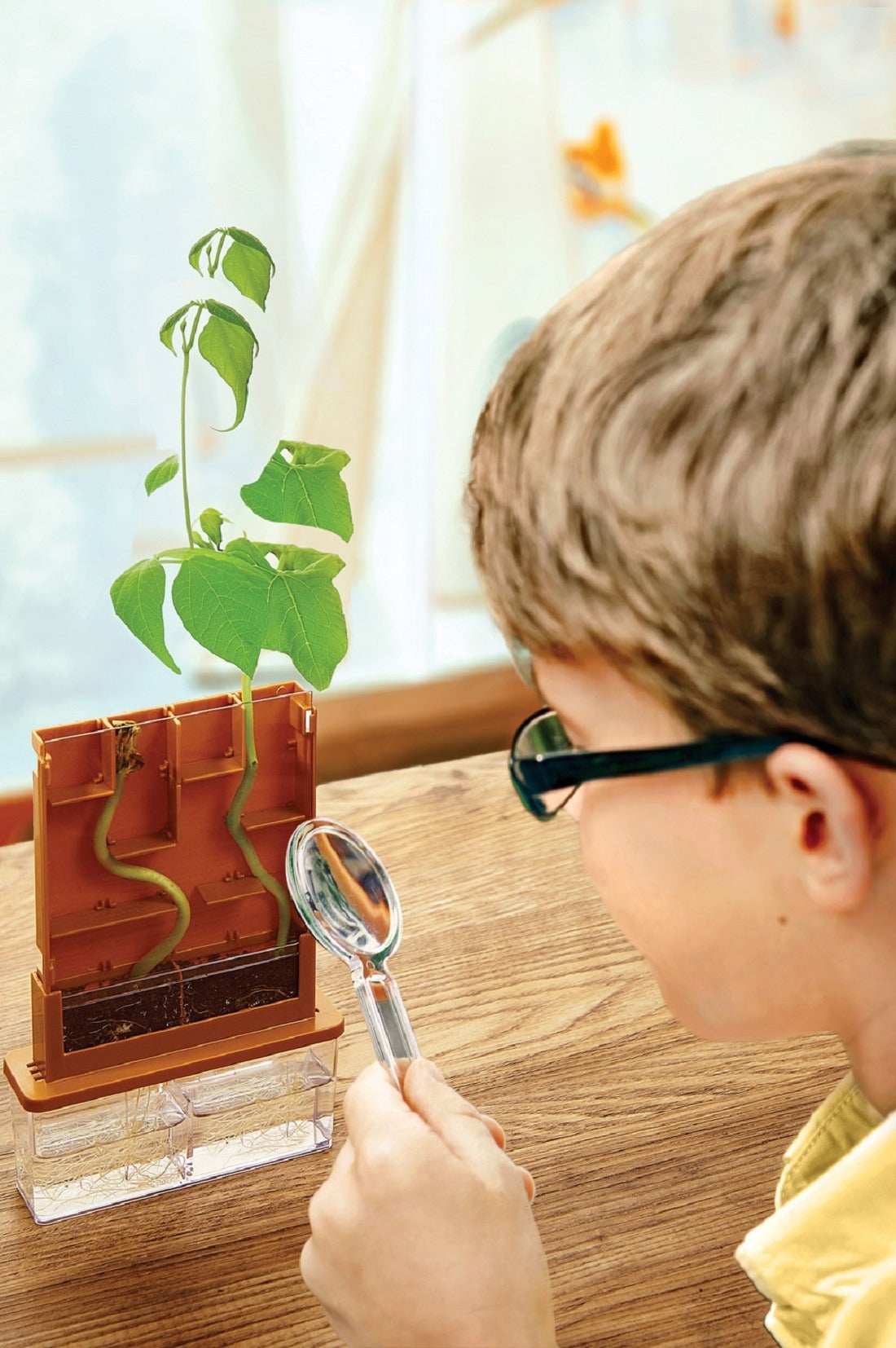 Green Science / Haz Crecer una Planta