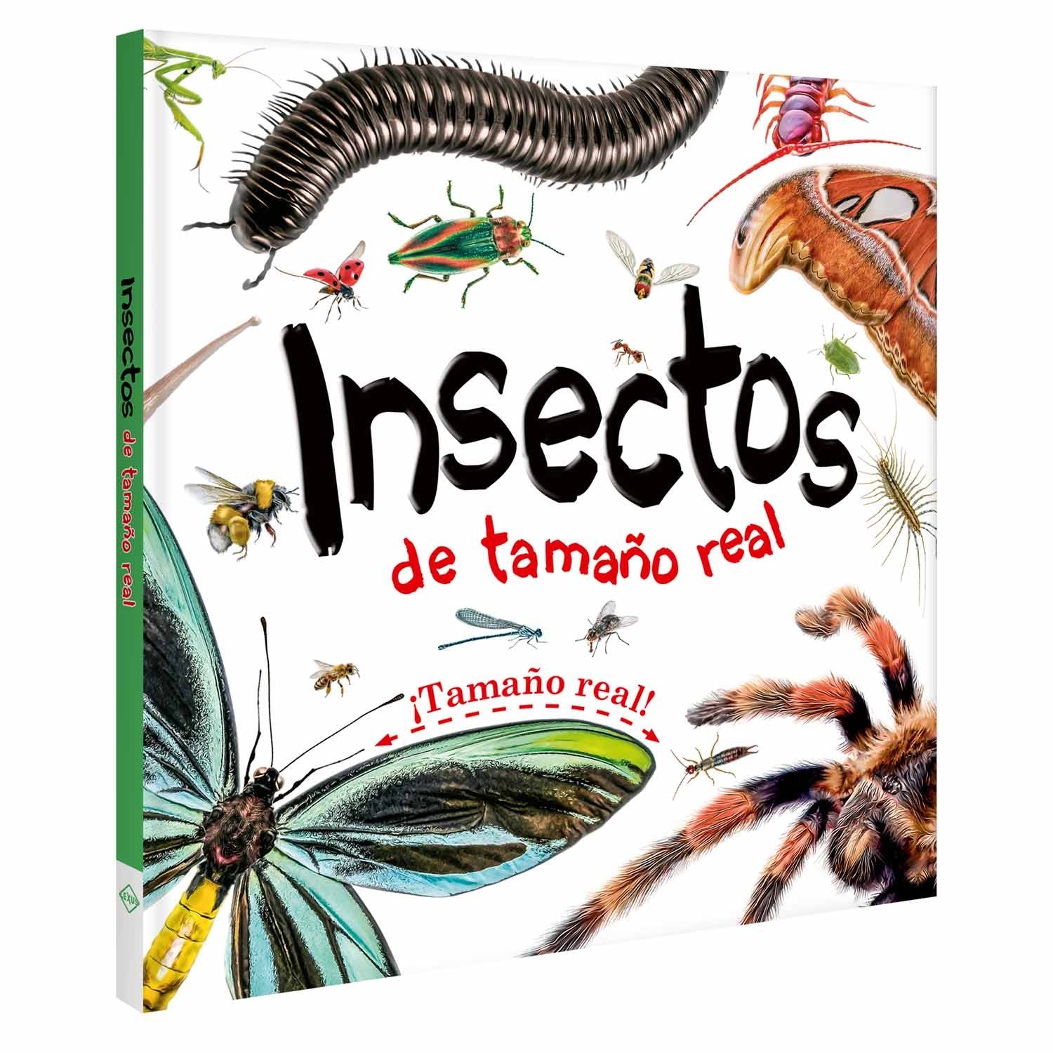 Mi Libro de Insectos de Tamaño Real