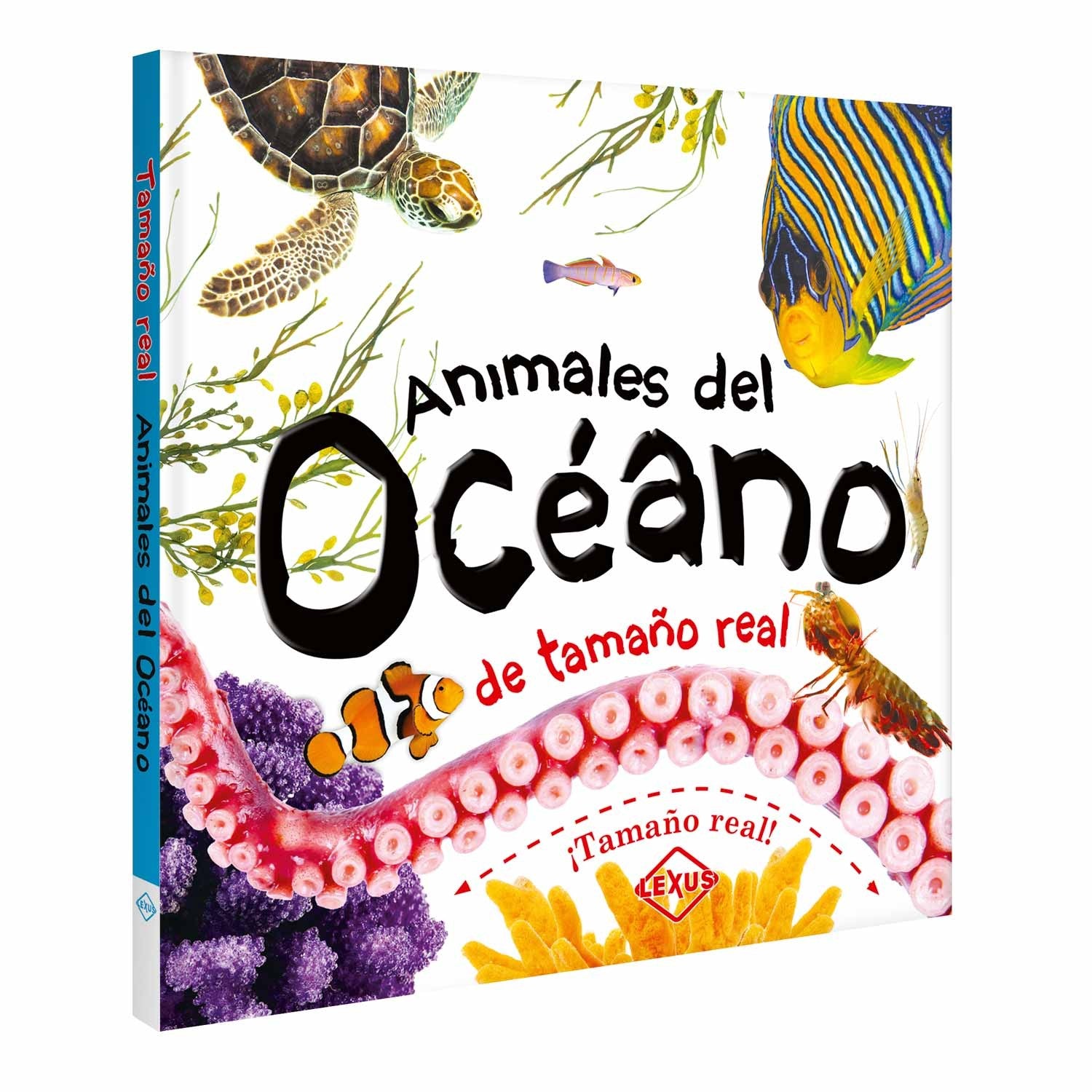 Mi Libro de Animales del Océano