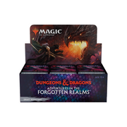 Adventures In The Forgotten – Display