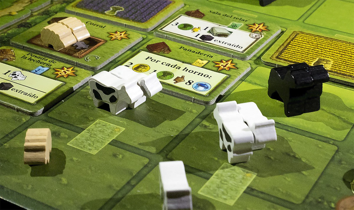 Campos de Arle: Big Box