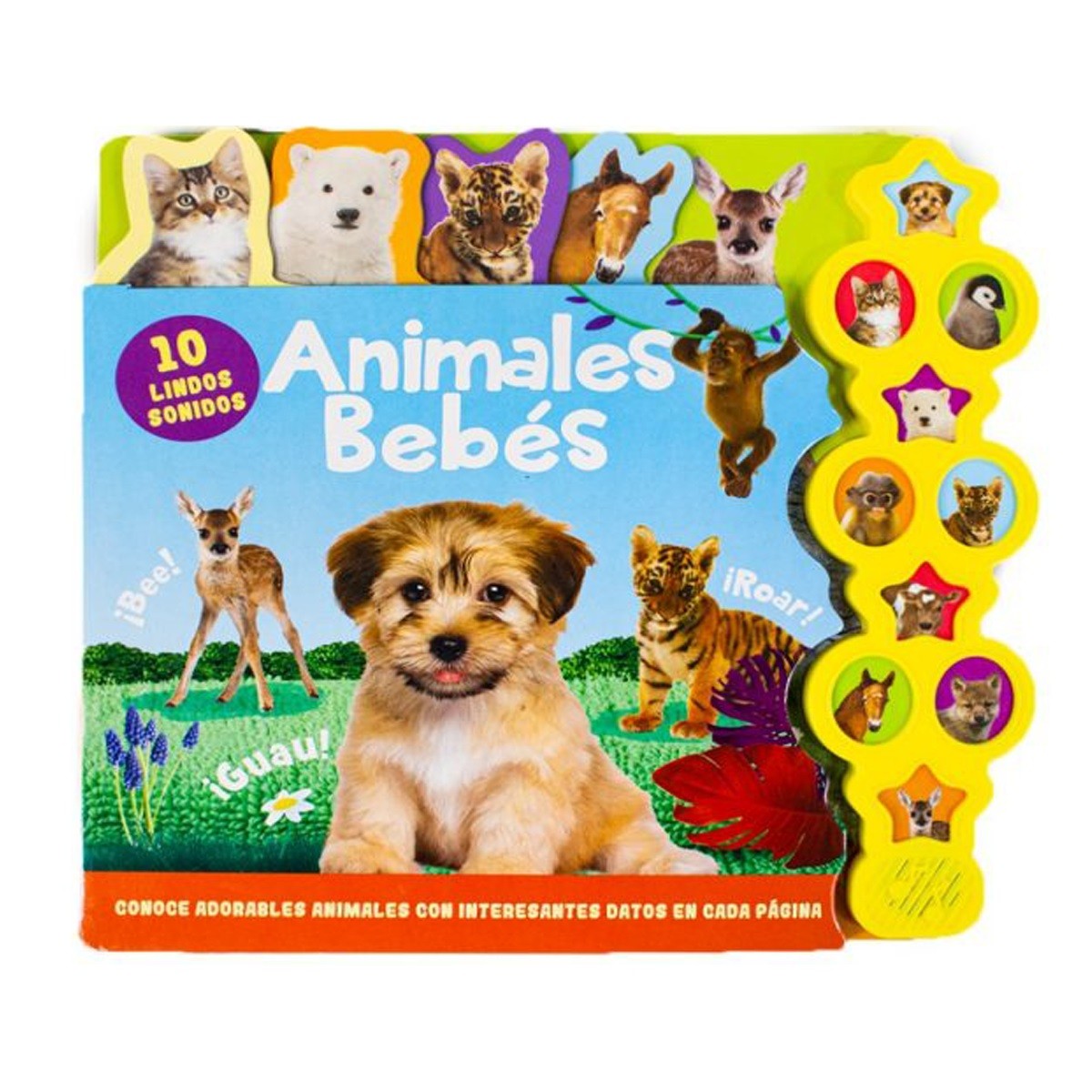 Animales Bebés