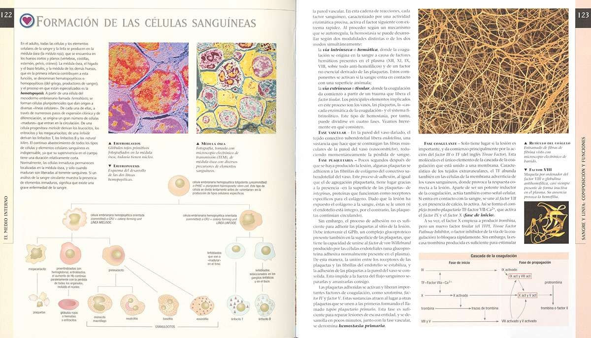 Atlas Ilustrado de Fisiologia Humana