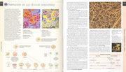 Atlas Ilustrado de Fisiologia Humana