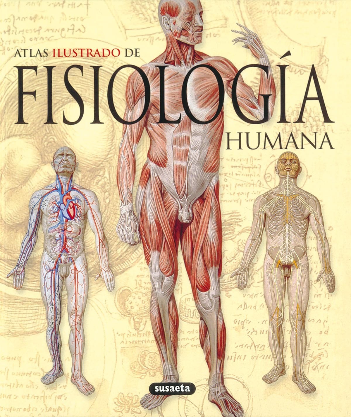 Atlas Ilustrado de Fisiologia Humana