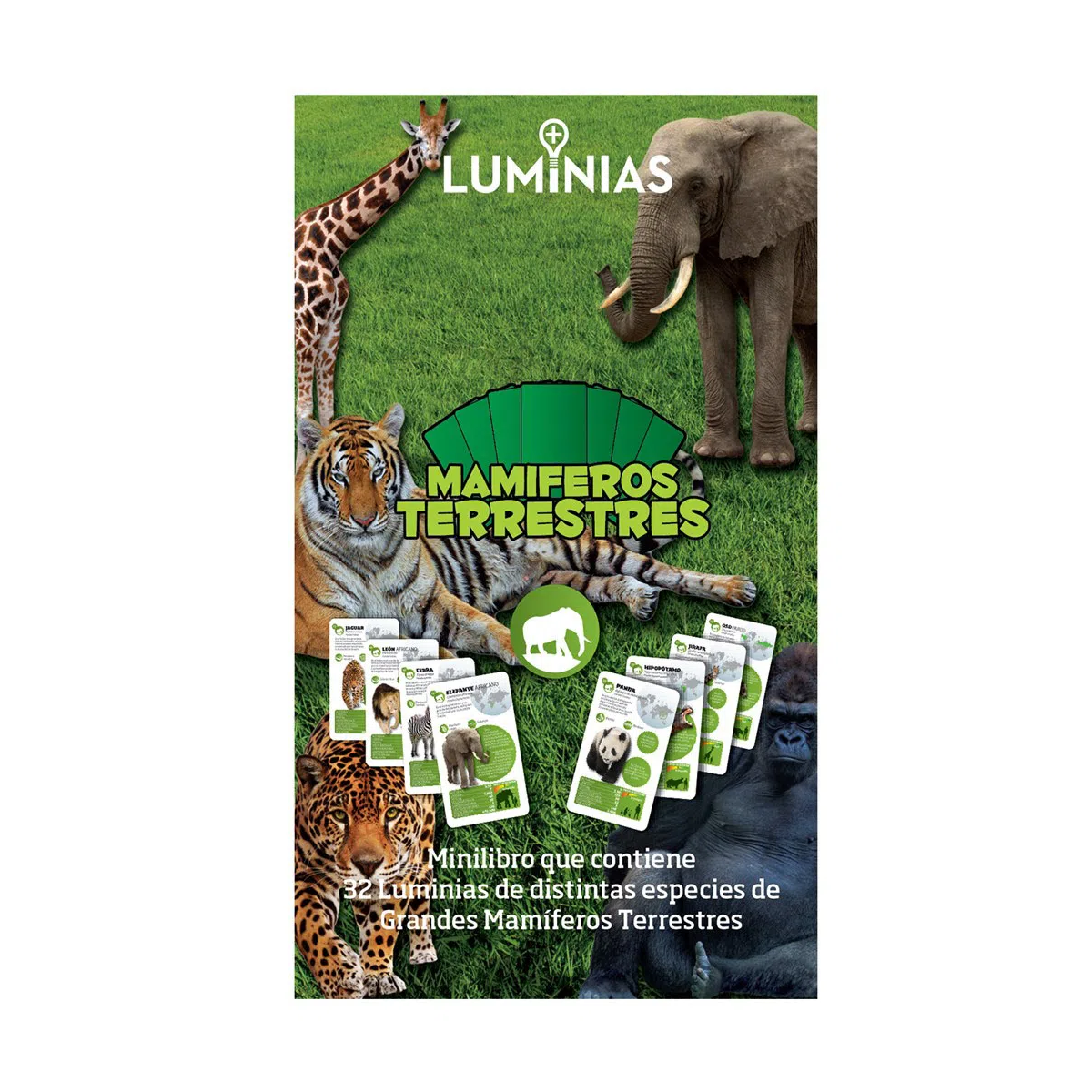 Luminias Grandes Mamíferos Terrestres