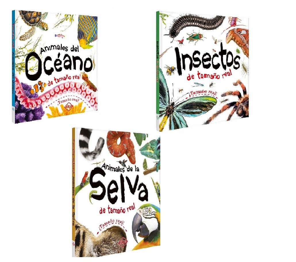 Colección Animales Océano + Insectos tamaño real + Animales Selva