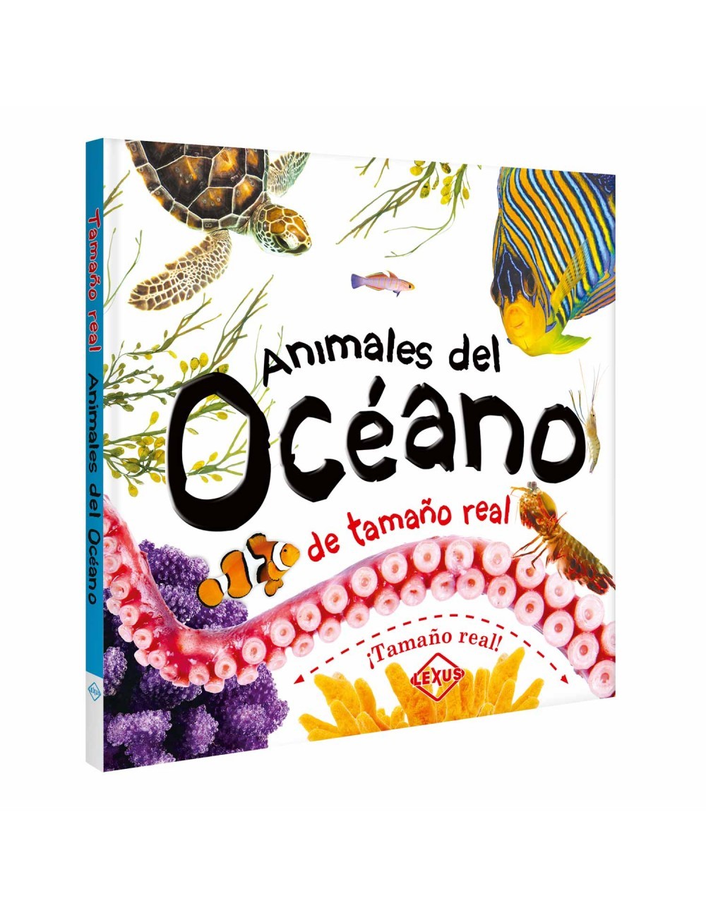 Colección Animales Océano + Insectos tamaño real + Animales Selva