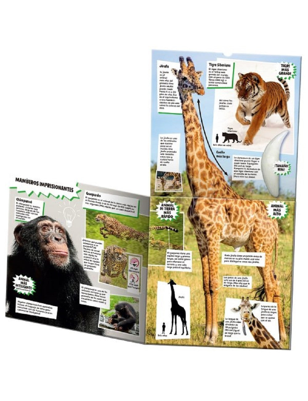 Colección Animales + Dinosaurios + Máquinas