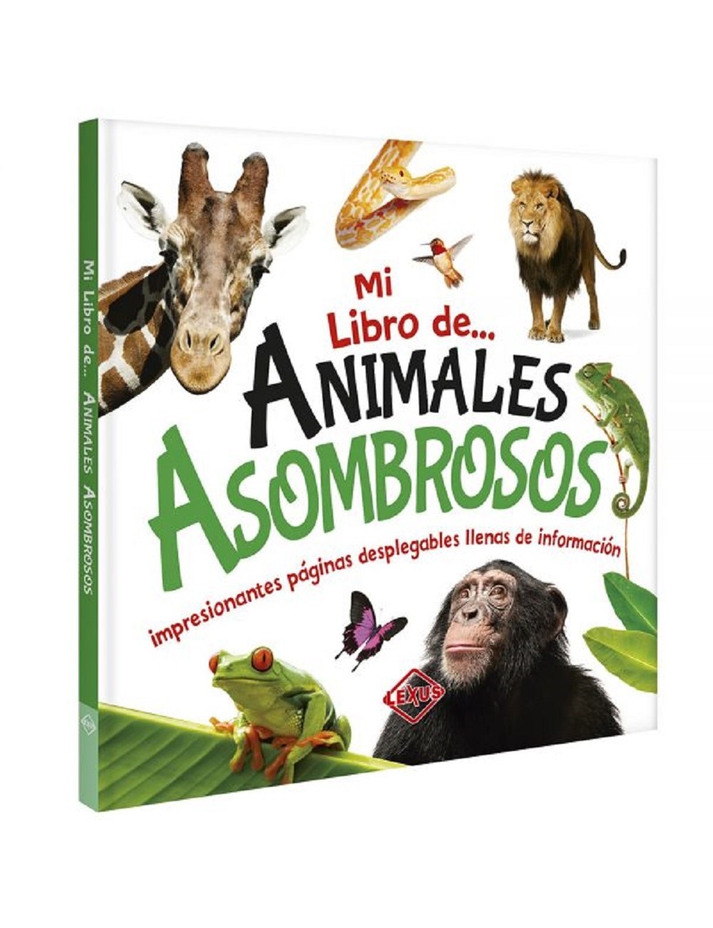 Colección Animales + Dinosaurios + Máquinas
