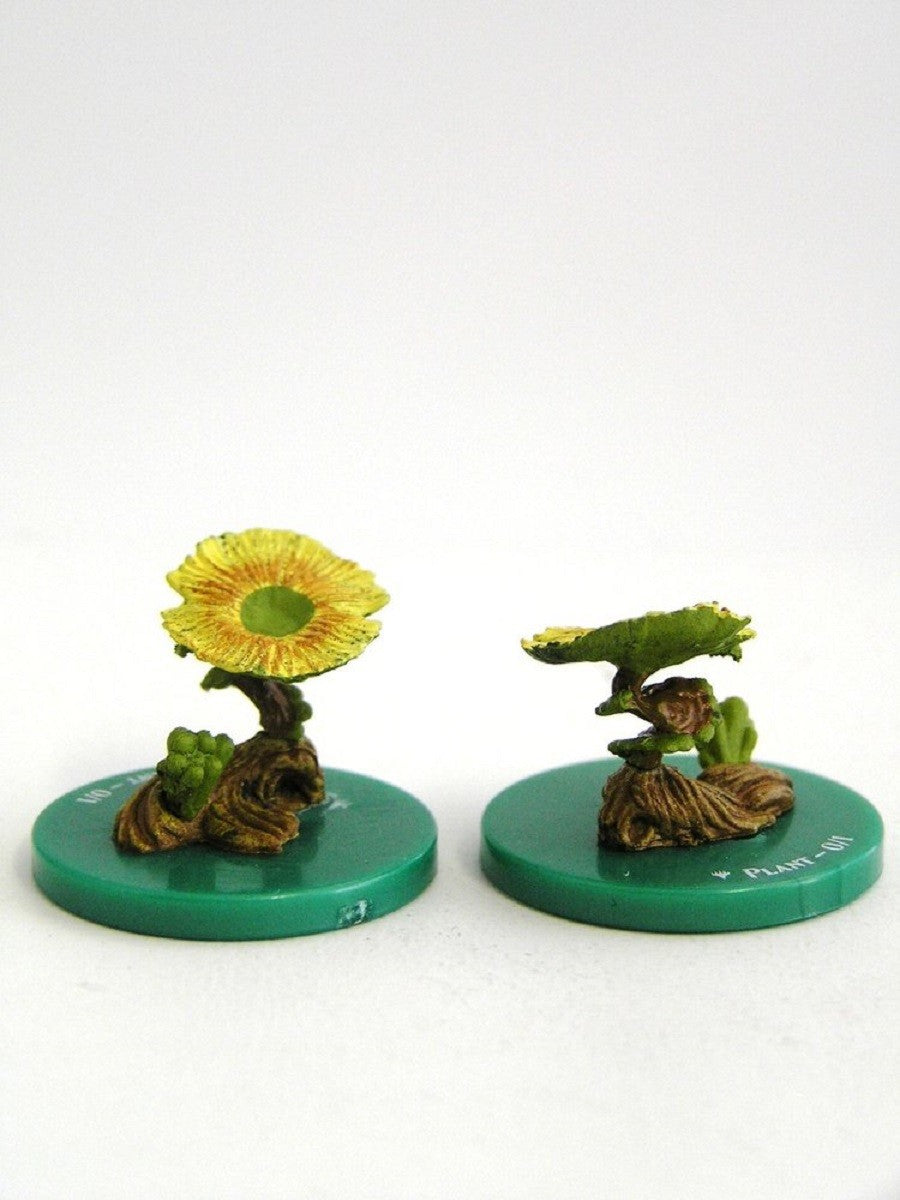 Miniatura - Plant