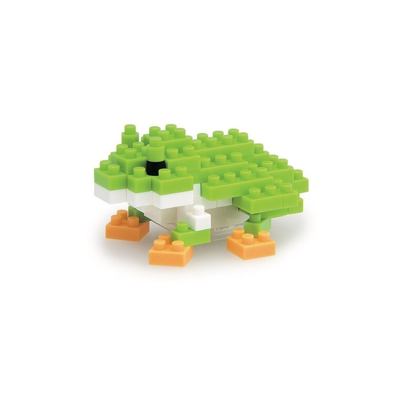 Rana Japonesa De Árbol
