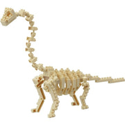 Dinosaurio Brachiosaurus (fósil)
