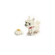 Perro Raza Hokkaido