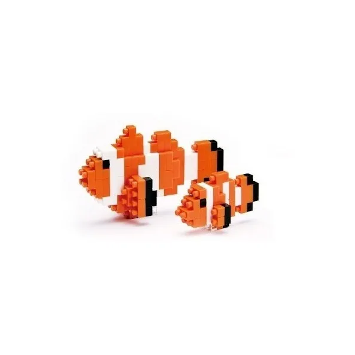 Pez Payaso Nemo