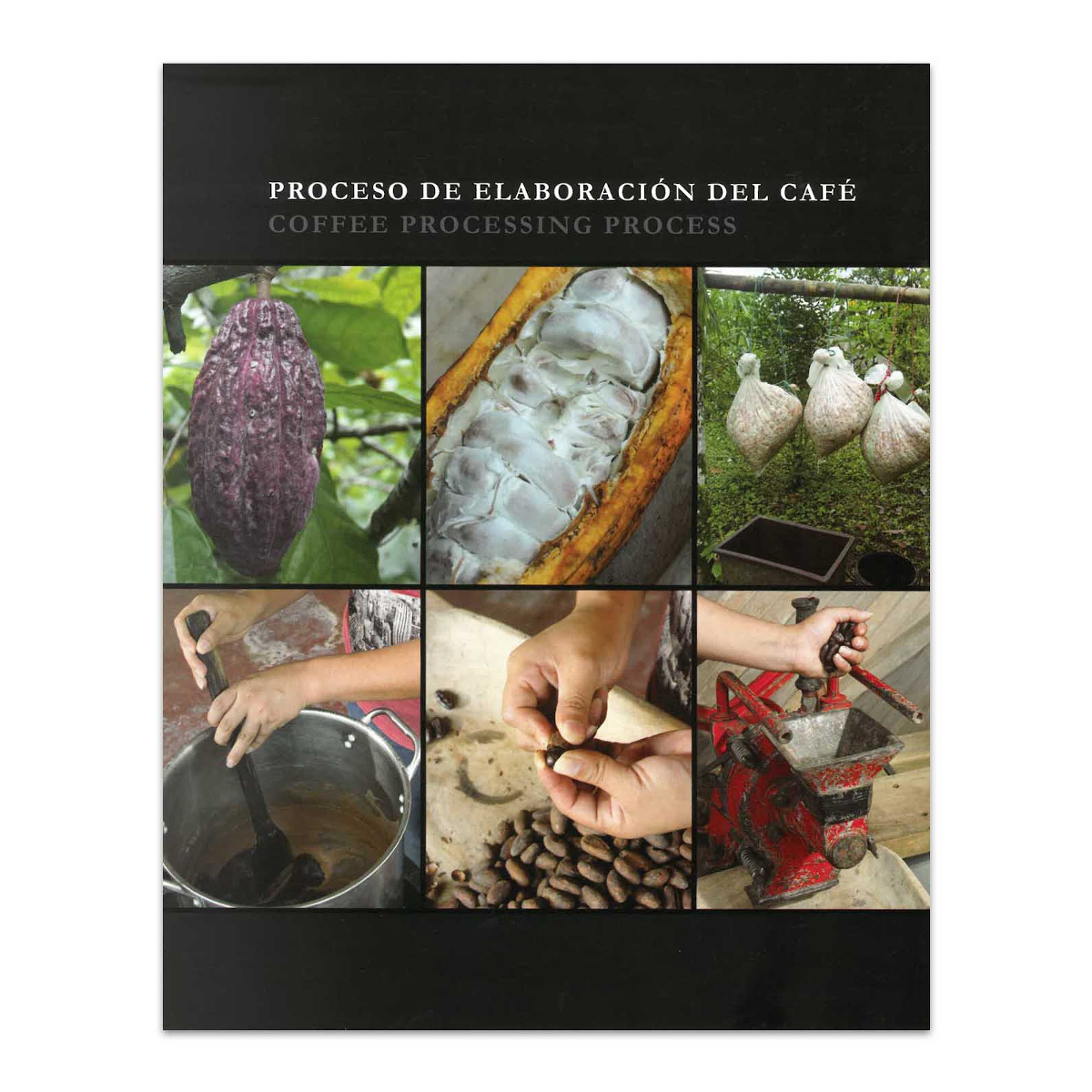 Libro Guía Esencial Del Café