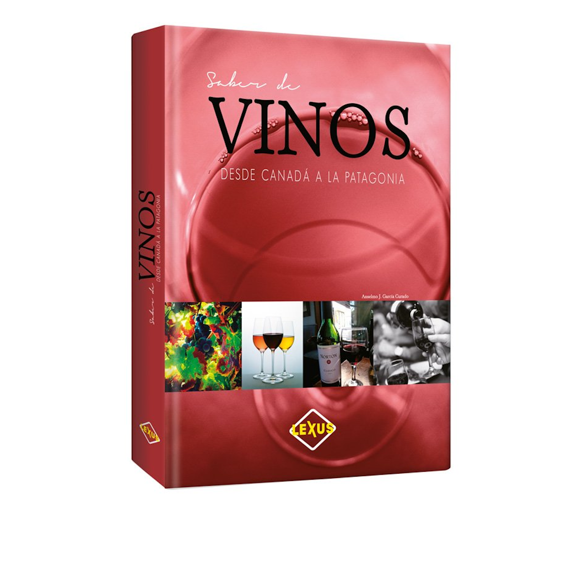 Saber De Vinos Desde Canadá Hasta La Patagonia