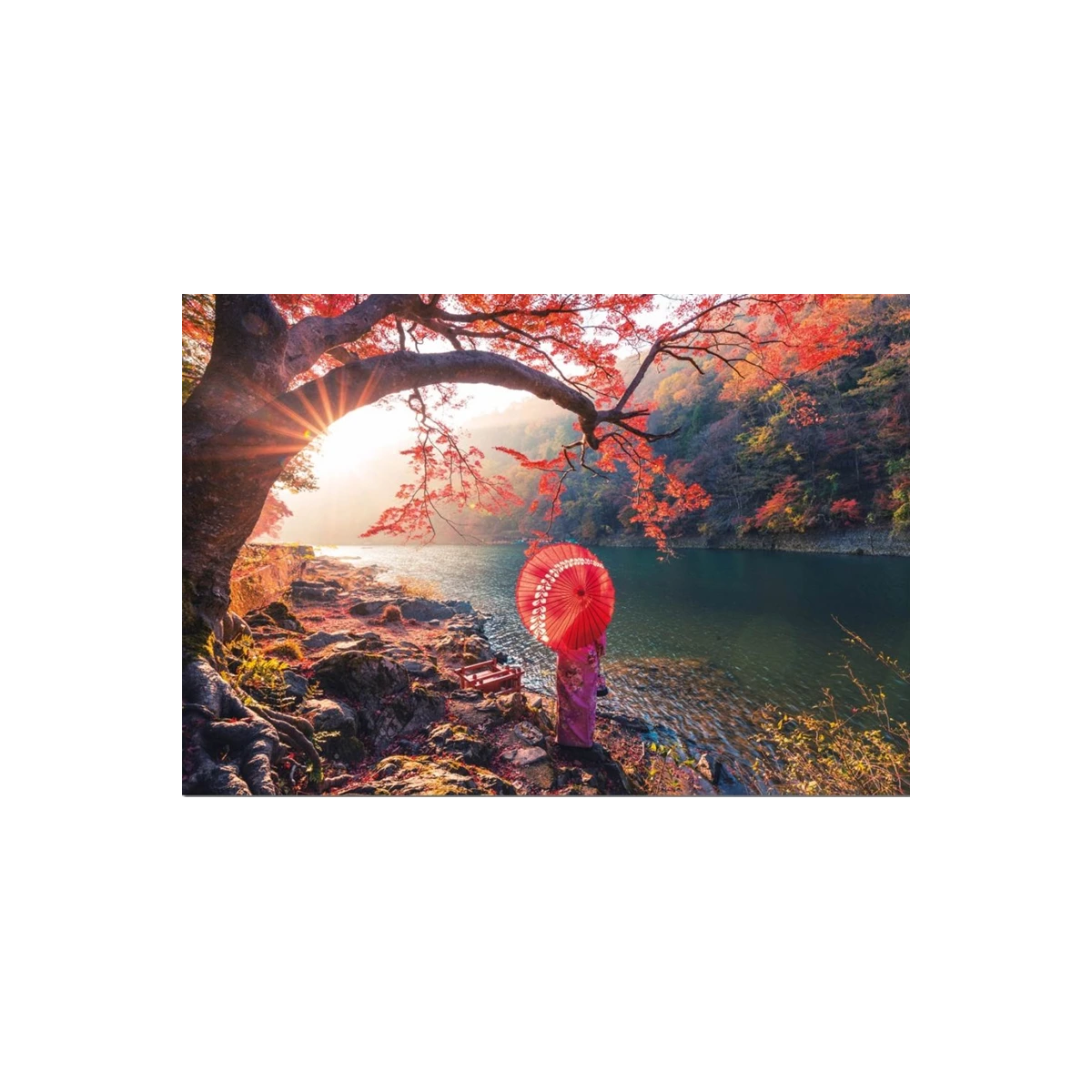 Rompecabezas Amanecer Rio Katsura