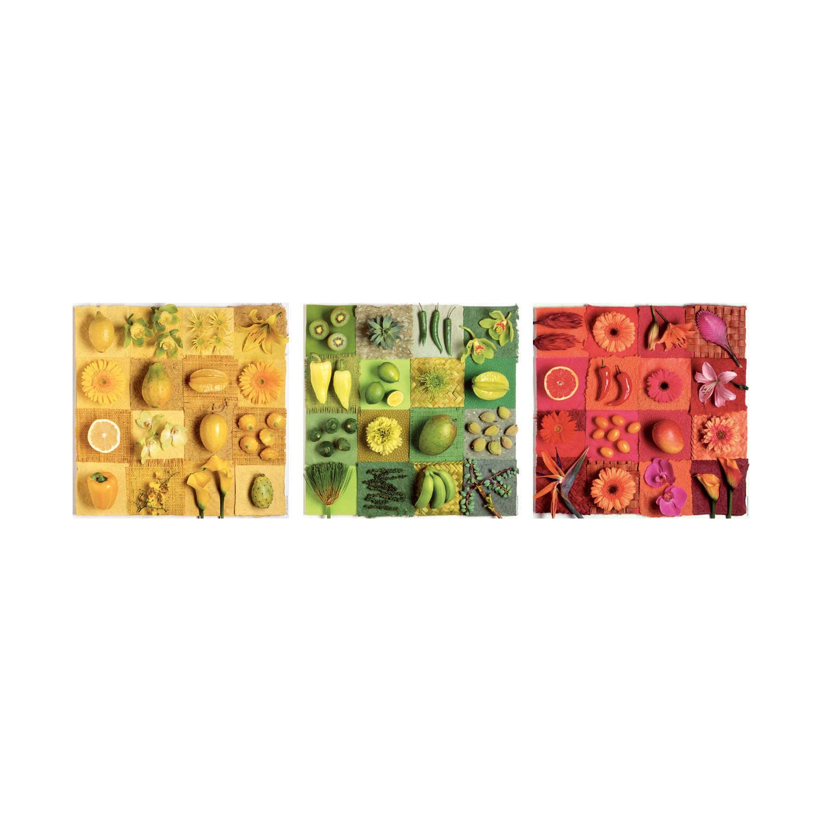 Rompecabezas 3x500 Exotic Fruits & Flowers