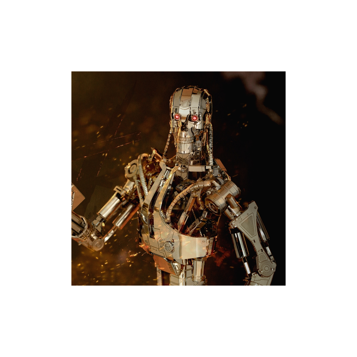 The Terminator Endoesquelto