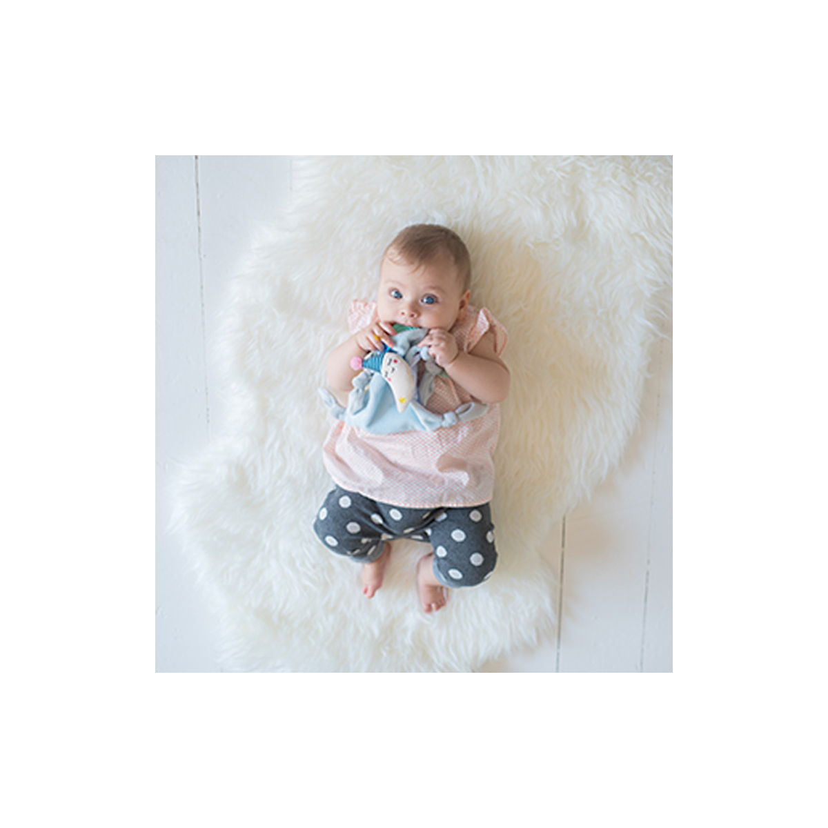 Mini Manta Luna