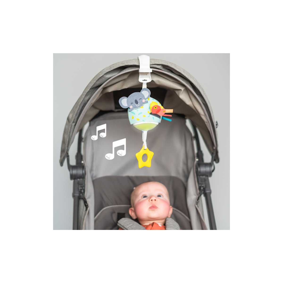 Koala Musical
