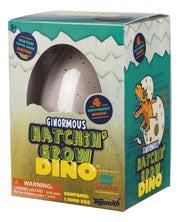 Hatchin Ginormous Grow Dino - Huevo Que Crece En Agua