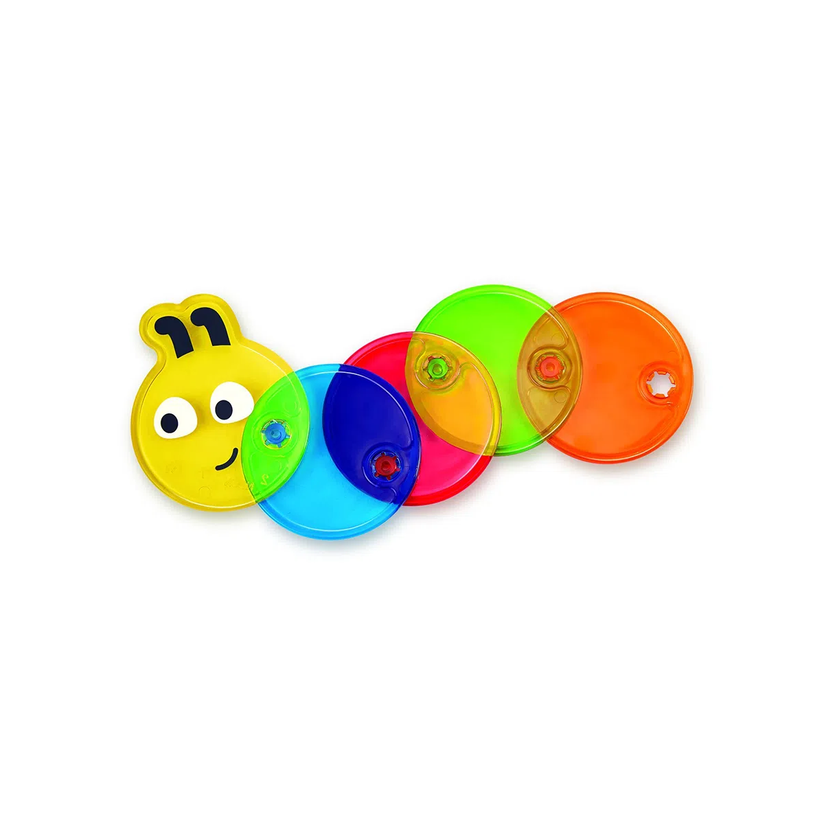 Oruga Multicolor